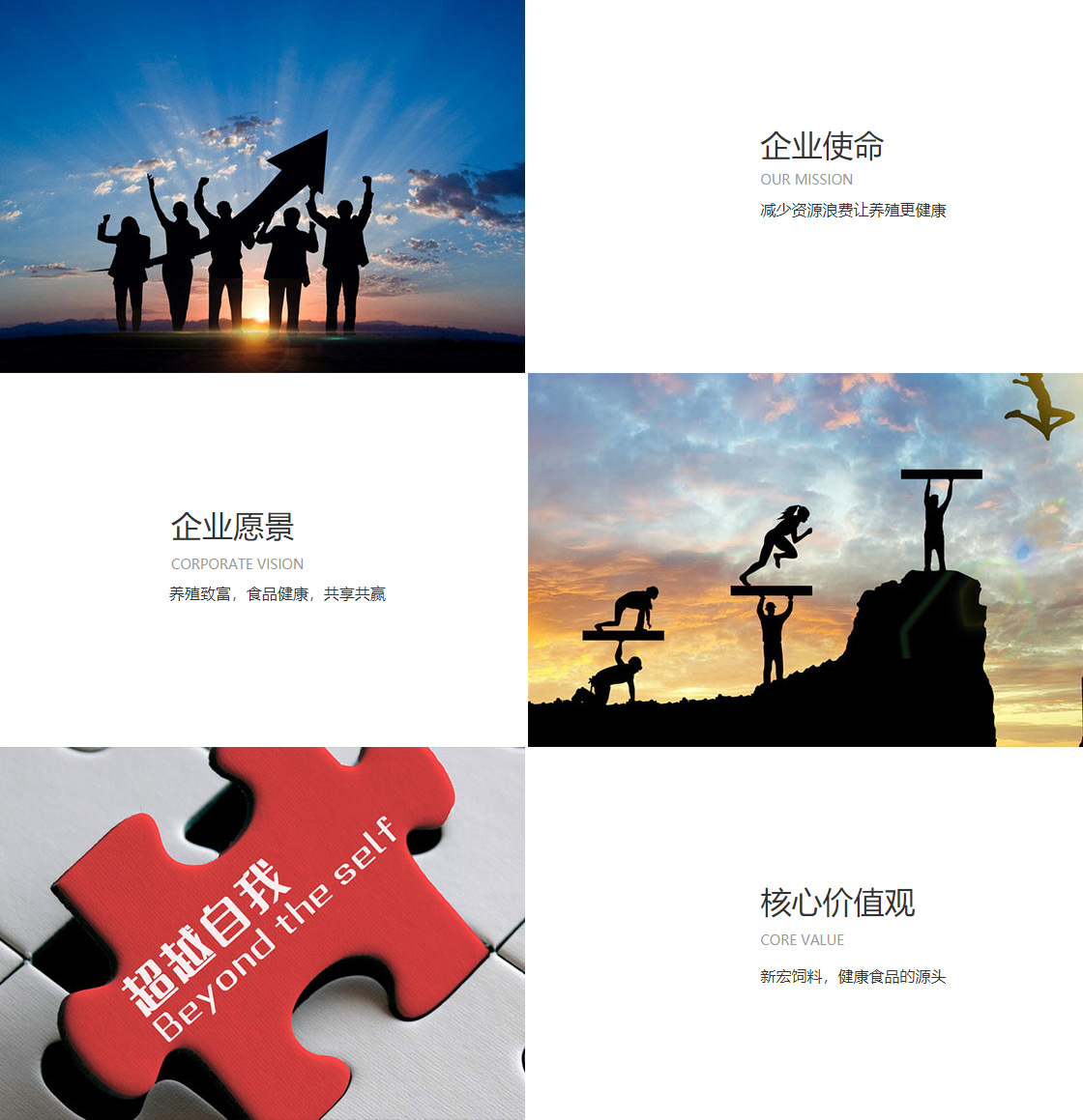 江南官方入口(图1)